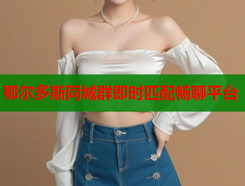 鄂尔多斯同城群即时匹配畅聊平台  第1张