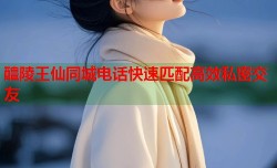 醴陵王仙同城电话快速匹配高效私密交友