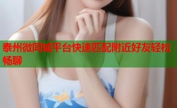 泰州微同城平台快速匹配附近好友轻松畅聊
