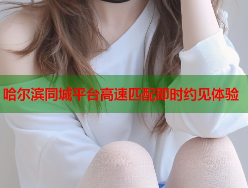 哈尔滨同城平台高速匹配即时约见体验  第1张