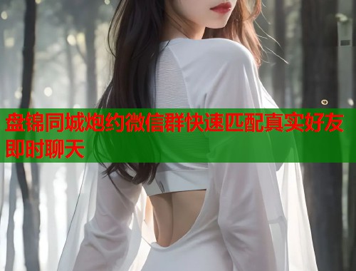 盘锦同城炮约微信群快速匹配真实好友即时聊天  第1张